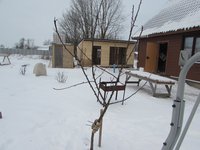 IMG_4725.jpg