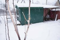 DSC06050_1.jpg