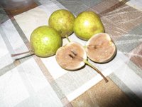 IMG_1410.JPG