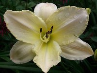 IMG_20130722_205004.jpg