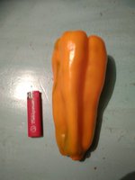 20 сентября.