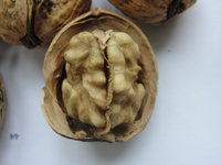 DSC04842.JPG