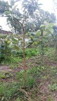20160719_174409.jpg