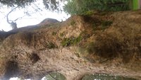 20170407_105319.jpg