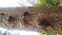 20170407_103316.jpg