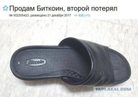 10902869.jpg