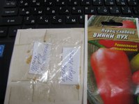 IMG_5387.JPG