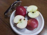 IMG_20180207_113526.jpg