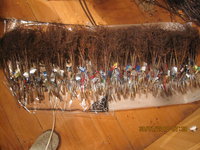 IMG_1973.JPG