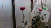 P_20171115_121227.jpg