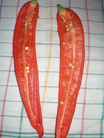 P8020146 (2).jpg