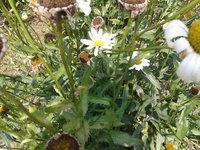 2013-08-03 13.50.22.jpg
