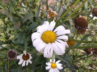 2013-08-03 13.50.14.jpg