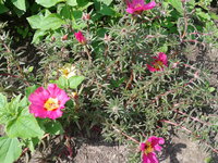 2013-08-03 13.48.26.jpg