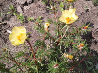 2013-08-03 13.48.22.jpg