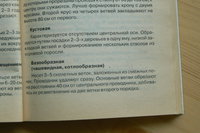 P1350503.JPG