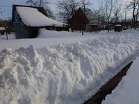 Сад 27.03.2013