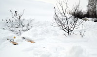 DSC_0193.jpg