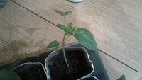20180317_215929.jpg
