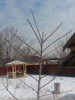 20180318_122324.jpg