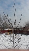 20180318_122340.jpg