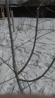 20180318_122426.jpg