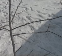 20180318_122611.jpg