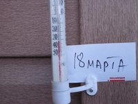 IMG_7276.JPG