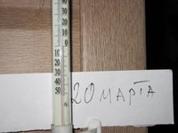 IMG_7279.JPG