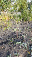 20171004_080625.jpg