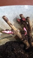 20180327_154940.jpg