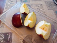 IMG_20180325_170637.jpg