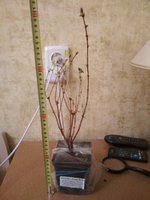 IMG_20180413_212330.jpg
