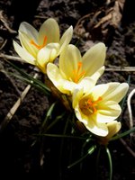 14.04.2018