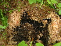 387_60412fceacb6_1.jpg