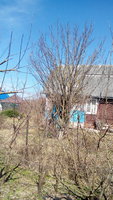 IMG_20180421_104354.jpg