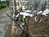 IMG_20180422_114639.jpg
