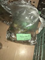 IMG_20180427_223827.jpg