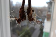 IMG_0860.JPG