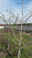 20180502_092615.jpg