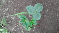 20180505_133820.jpg