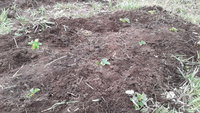 20180421_143304.jpg
