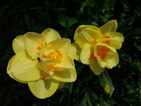 20180505_094559.jpg