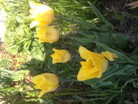 IMG_7421.JPG