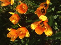IMG_7423.JPG