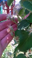 WP_20180513_001.jpg