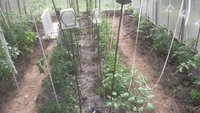 IMG-20180507-WA0008[1].jpeg