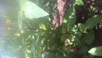 WP_20180525_09_22_26_Pro.jpg
