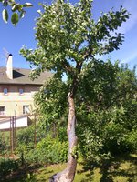 IMG_20180525_092516-min.jpg
