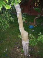 IMG_20180525_212653.jpg
